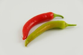 辣椒