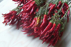 辣椒