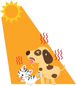 炎热夏天动物