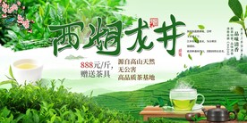 西湖龙井