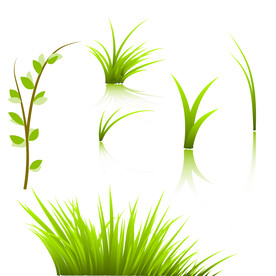 草地 