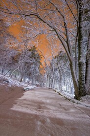 黄昏下的雪后小路
