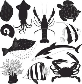 海洋生物