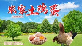 土鸡蛋