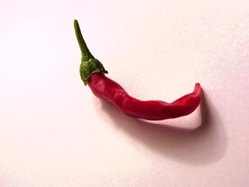 辣椒