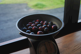 窗边称磅小店窗景