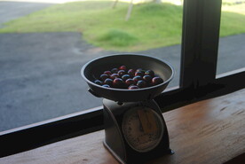 小店窗边民国风摆件