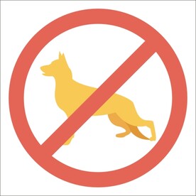 禁止带宠物