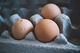 鸡蛋