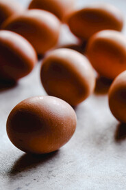 鸡蛋