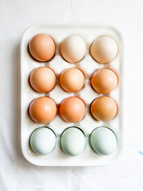 鸡蛋