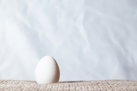 鸡蛋