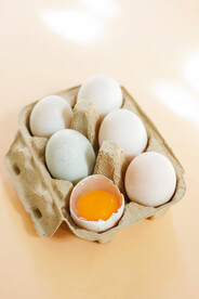 鸡蛋