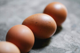 鸡蛋