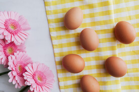 鸡蛋