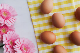 鸡蛋