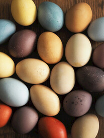 鸡蛋