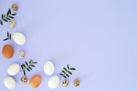 鸡蛋