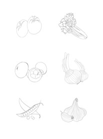 手绘素描蔬菜矢量图