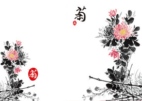 菊花