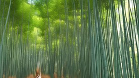竹林