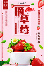  采摘草莓 
