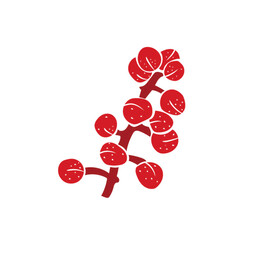 花椒