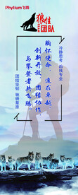 狼性展架 