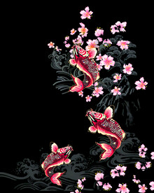 鲤鱼