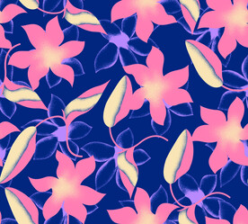  花 数码 