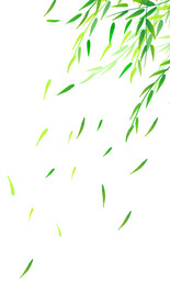 柳枝