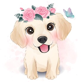 卡通金毛