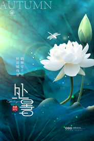 处暑海报图片