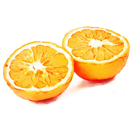 手绘橙子