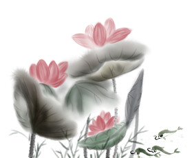 手绘荷花