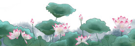 中国画荷花 
