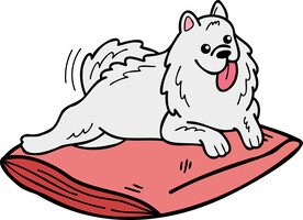 卡通萨摩耶