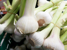 大蒜
