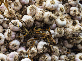 大蒜