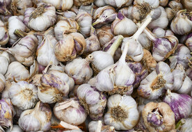 大蒜