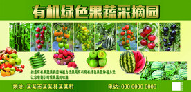有机绿色果蔬采摘园