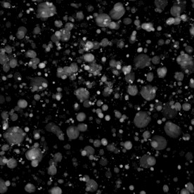 雪花粒子