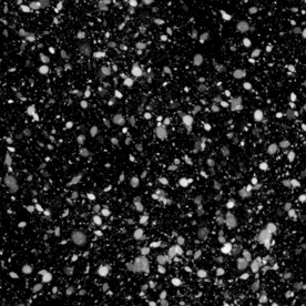 下雪飘雪雪花