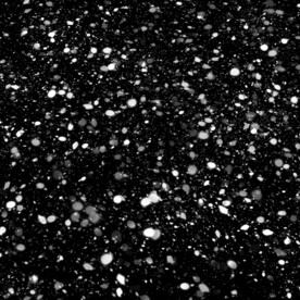 下雪飘雪雪花