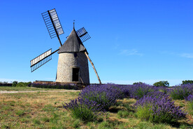 风车老磨房图片