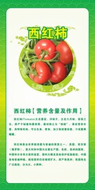 西红柿的营养