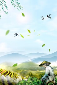 茶园