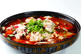 酸菜鱼图片素材