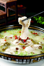 酸菜鱼图片素材