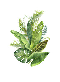 绿色植物 热带植物 花卉 叶子
